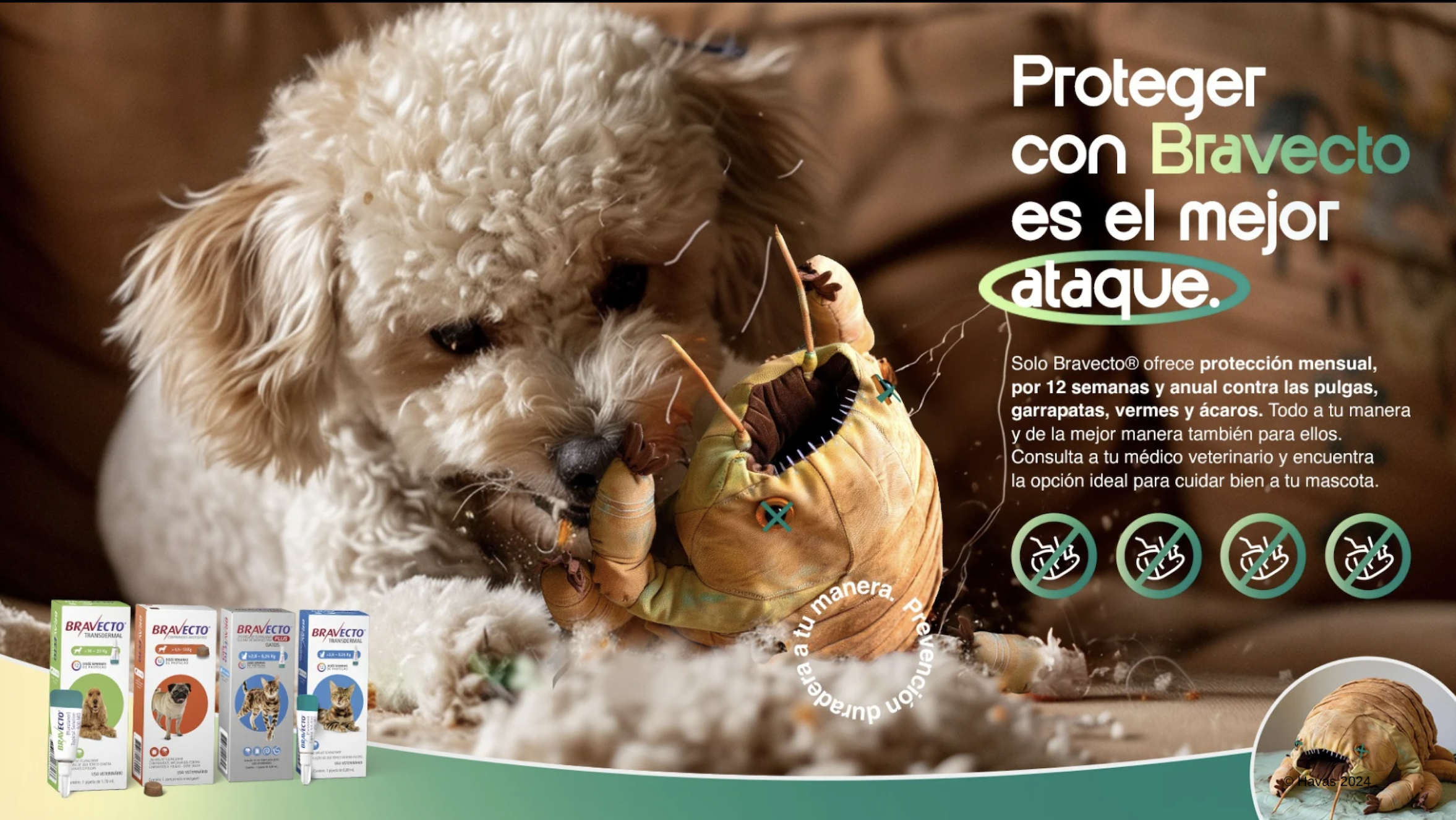 Bravecto